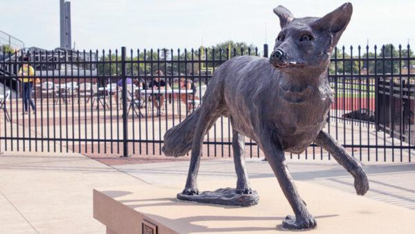 Coyote statue